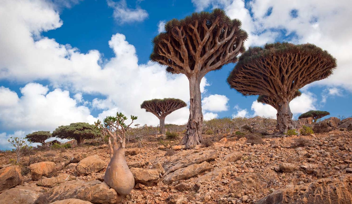 least populated places in the world