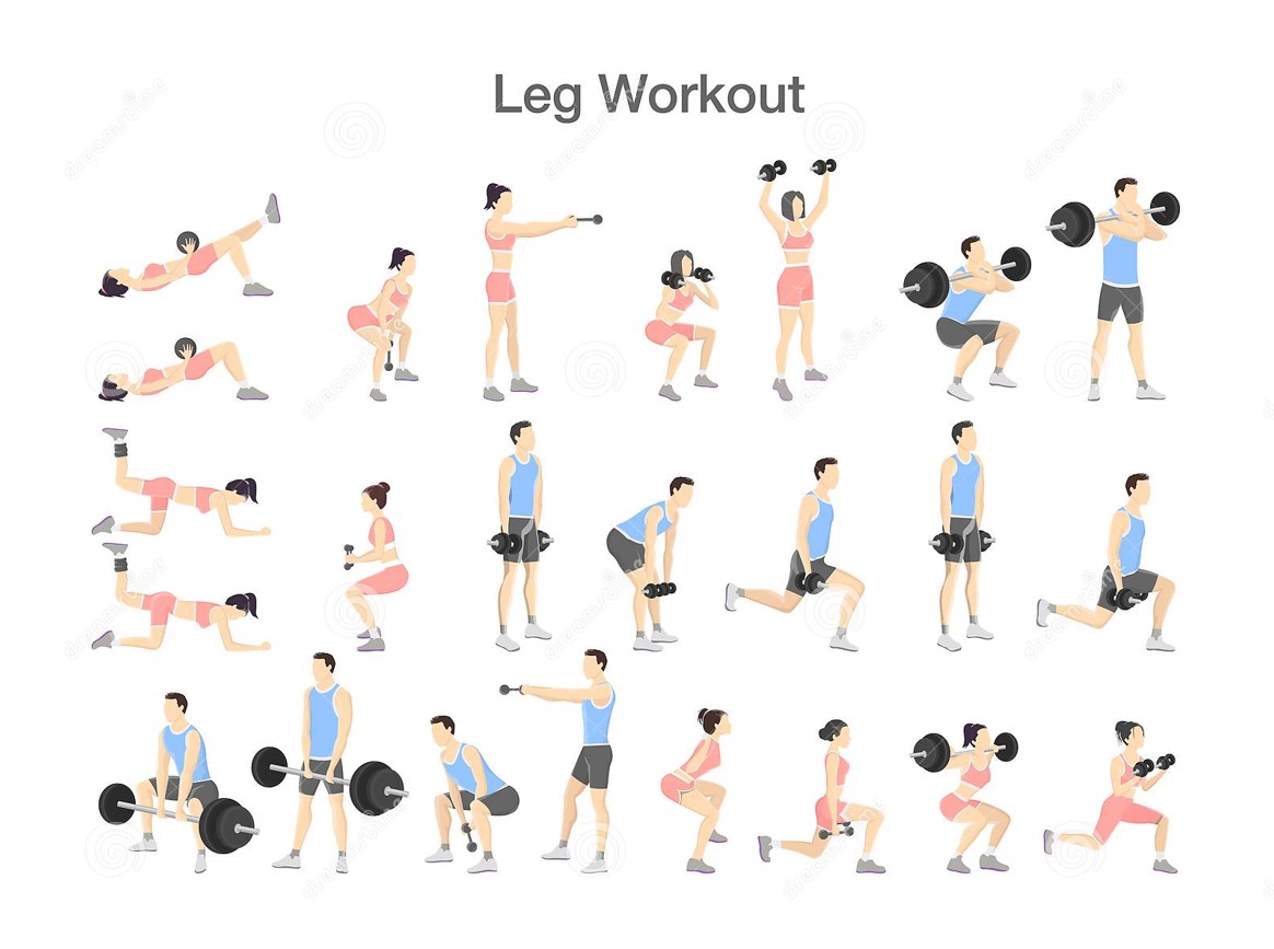 Leg exercises for belly fat