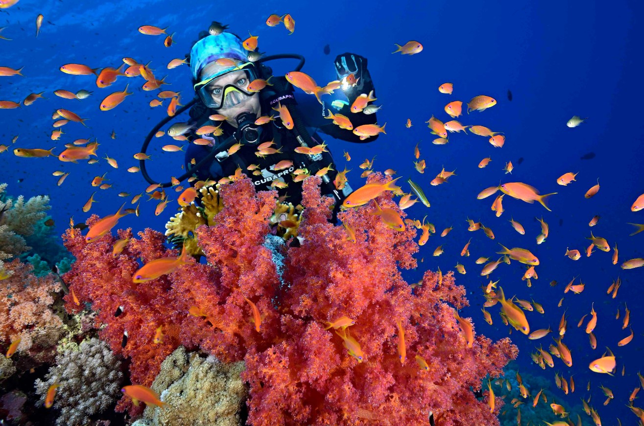 Egypt’s Red Sea scuba diving