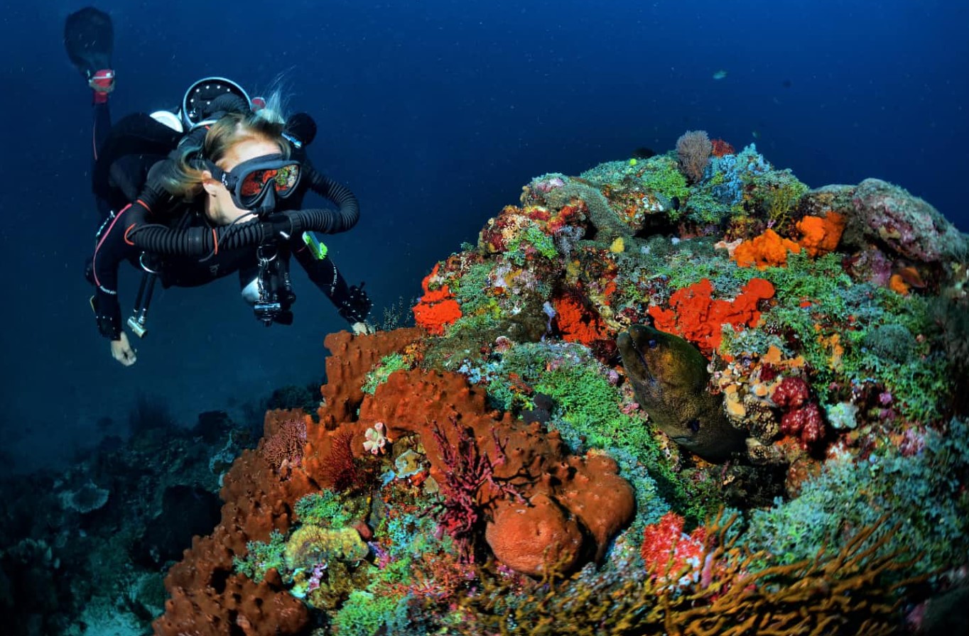 Gili Islands scuba diving