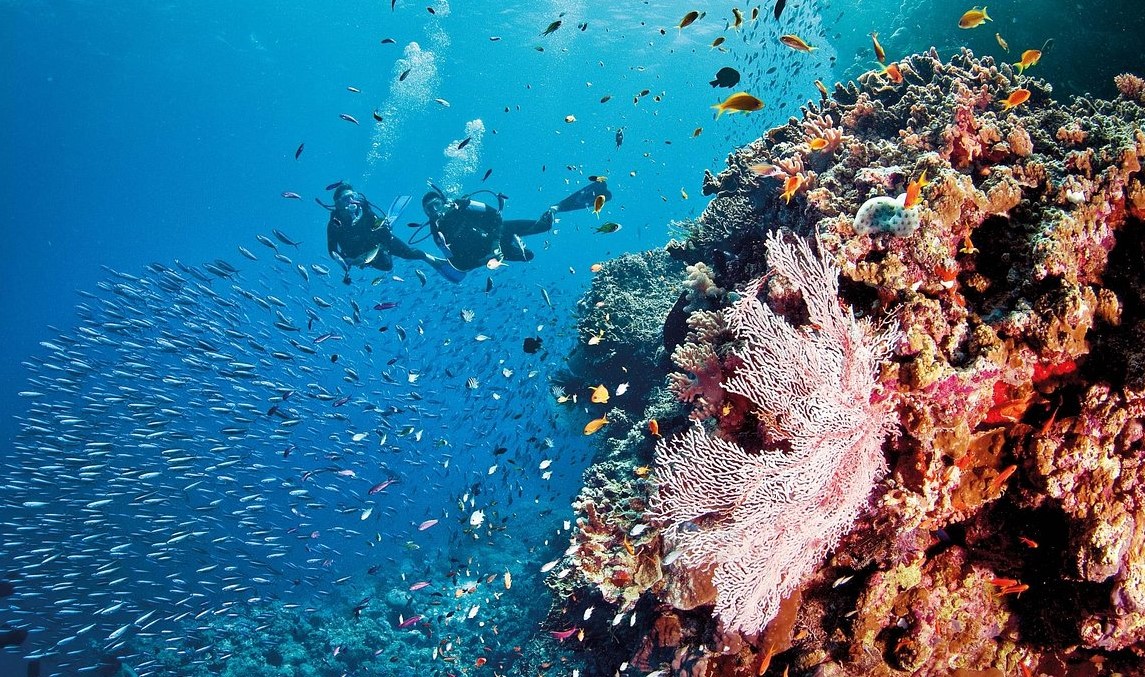 World’s Top 10 Scuba Diving Locations