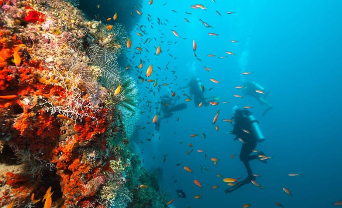 Hawaii scuba diving