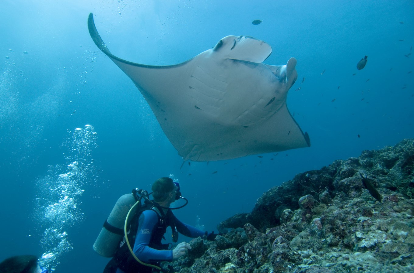 Micronesia scuba diving