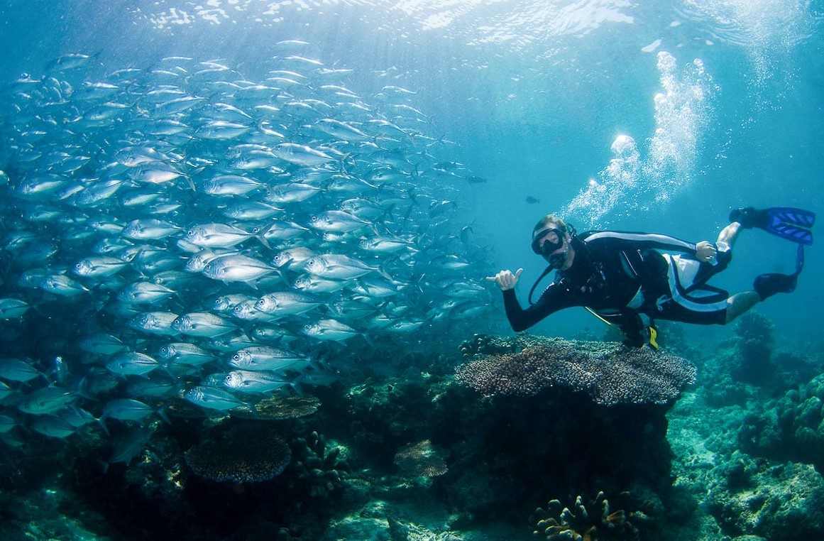 Sipadan scuba diving