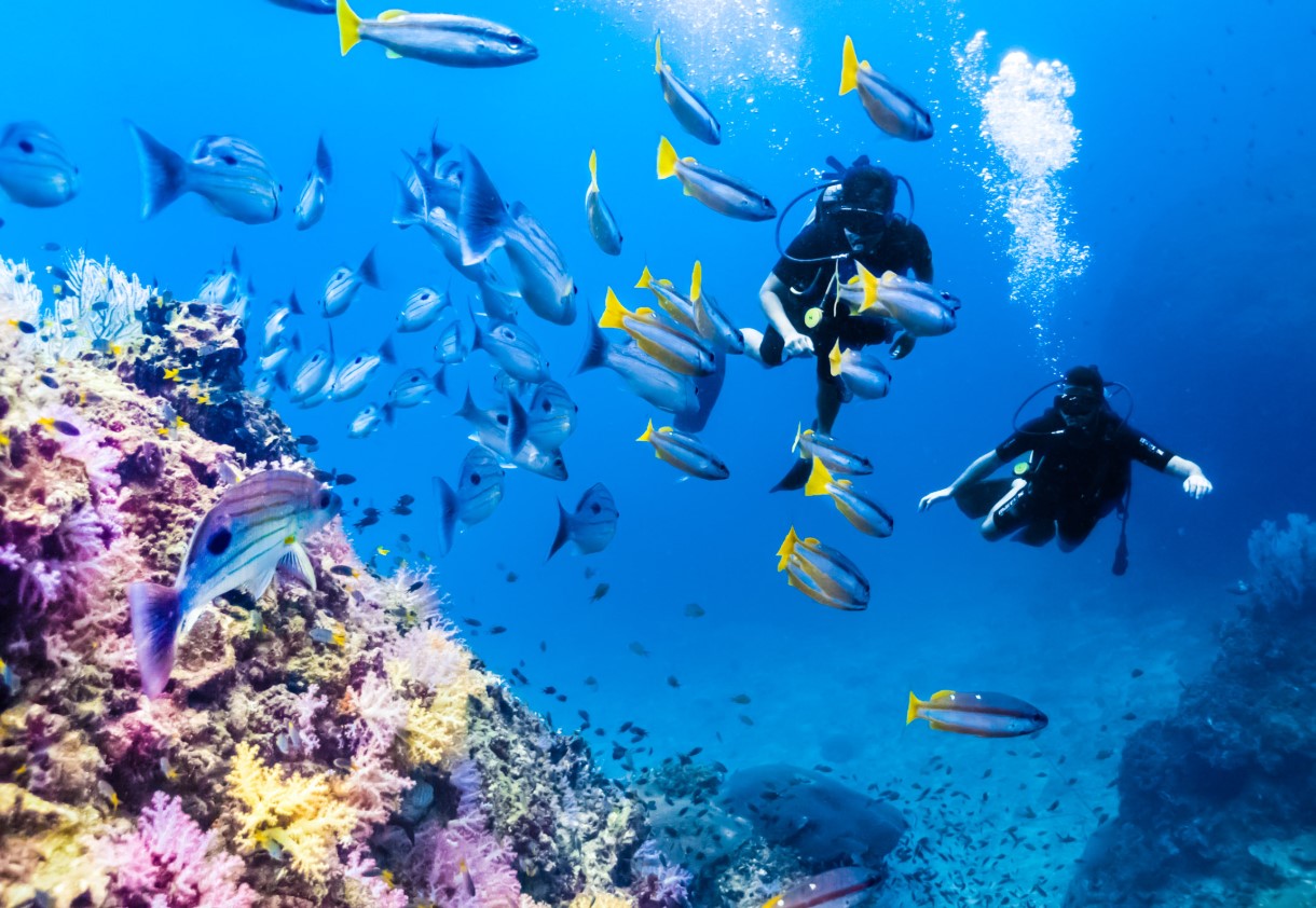 Thailand scuba diving